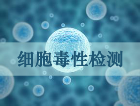 BOBSport细胞毒性实验服务