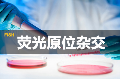 BOBSport荧光原位杂交技术