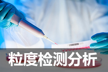 BOBSport粒度分析检测服务