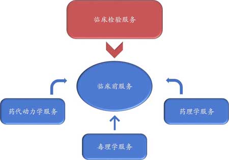 BOBSport临床前服务