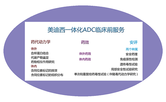 BOBSport一体化ADC临床前服务