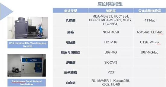 BOBSport药效学动物模型