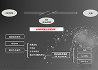 人工合成NT类脂质开放血脑屏障，为CNS药物打开新局面