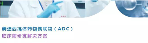 BOBSport抗体药物偶联物(ADC)临床前研发解决方案.png BOBSport抗体药物偶联物(ADC)临床前研发解决方案.png