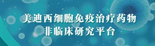 BOBSport细胞免疫治疗药物非临床研究平台.png BOBSport细胞免疫治疗药物非临床研究平台.png