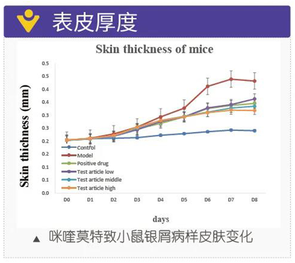 图5：表皮厚度.jpg