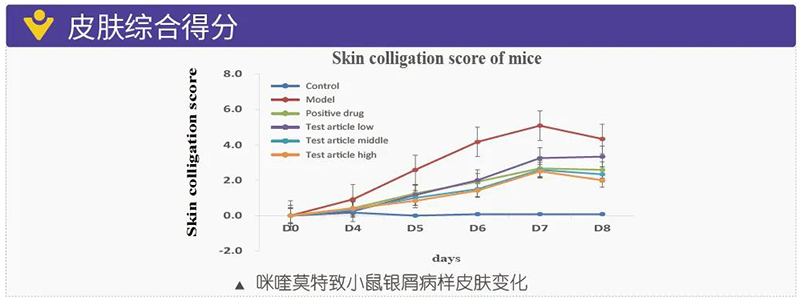 图7：皮肤综合得分.jpg