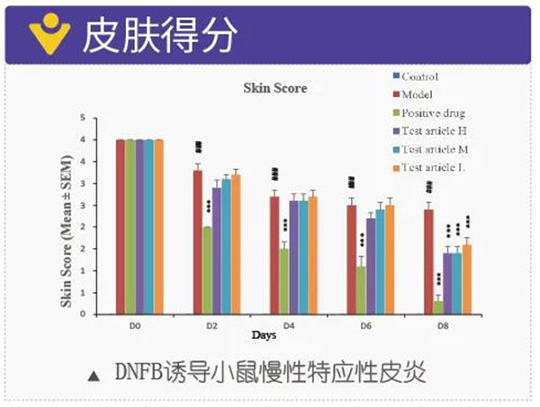 图11：DNFB诱导小鼠慢性特应性皮炎-皮肤得分.jpg