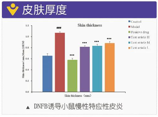 图12：DNFB诱导小鼠慢性特应性皮炎-皮肤厚度.jpg