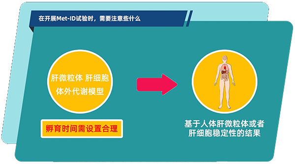 肝微粒体、肝细胞体外代谢模型中，孵育时间需设置合理.jpg