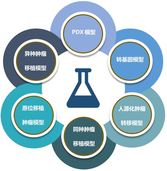BOBSport致力于为客户提供成熟的评估ADC体内药效的肿瘤模型.png BOBSport致力于为客户提供成熟的评估ADC体内药效的肿瘤模型.png