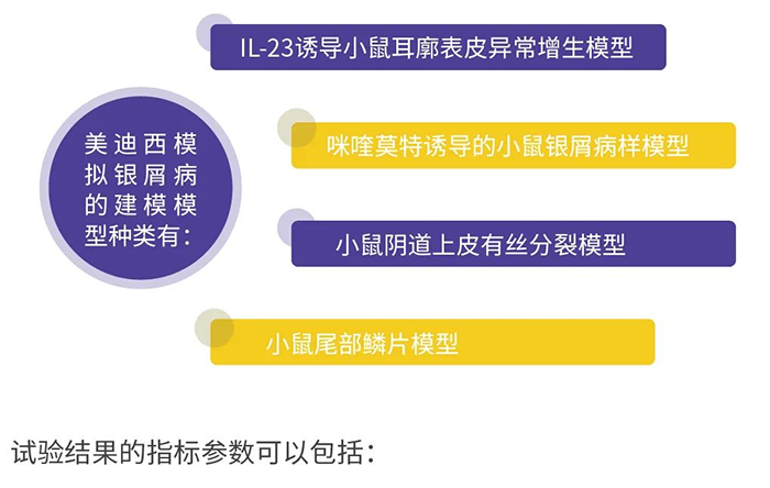 BOBSport模拟银屑病的建模模型.png BOBSport模拟银屑病的建模模型.png
