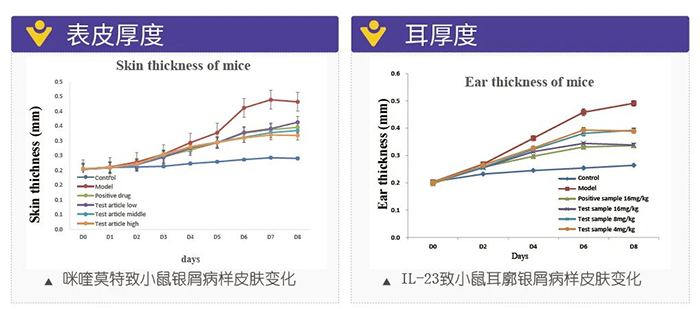 BOBSport模拟银屑病的建模模型-试验结果的指标.png BOBSport模拟银屑病的建模模型-试验结果的指标.png