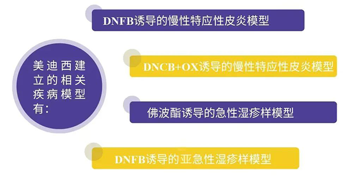 BOBSport建立的特应性皮炎模型.png BOBSport建立的特应性皮炎模型.png