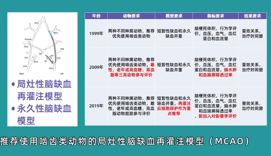 袁云云博士：啮齿类动物脑卒中疾病药效成药性评价系统（2）.jpg