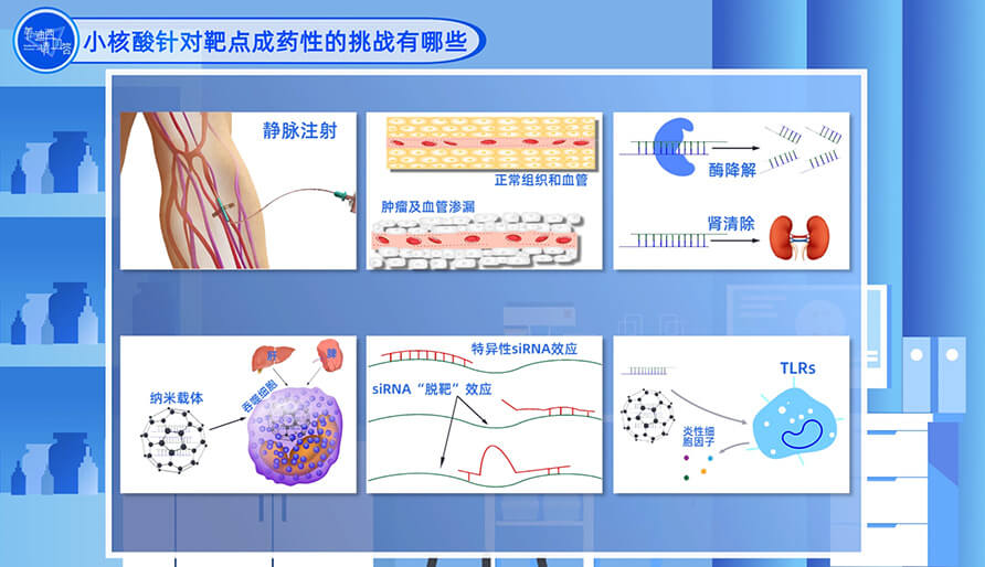 小核酸针对靶点成药性的挑战有哪些？