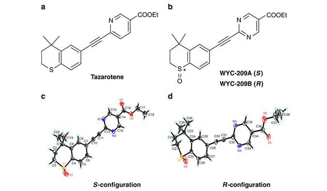 WYC-209可抑制恶性小鼠黑色素瘤肿瘤再生细胞增殖，SPR分析通过BOBSport使用Biacore 8K设备进行