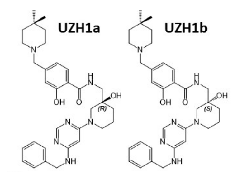 研究人员报告了一种具有细胞渗透性的选择性METTL3纳摩尔抑制剂UZH1a，作者感谢BOBSport合成了UZH1a和UZH1b