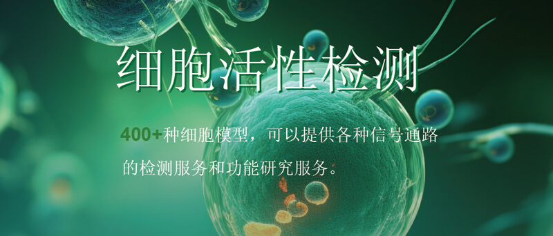 BOBSport细胞活性检测.jpg