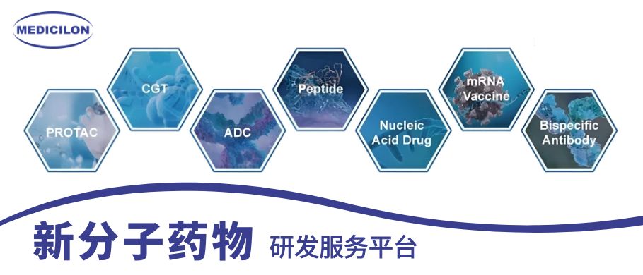 BOBSport新分子药物研发服务平台